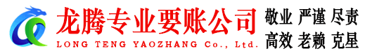 泰和龙腾追账公司